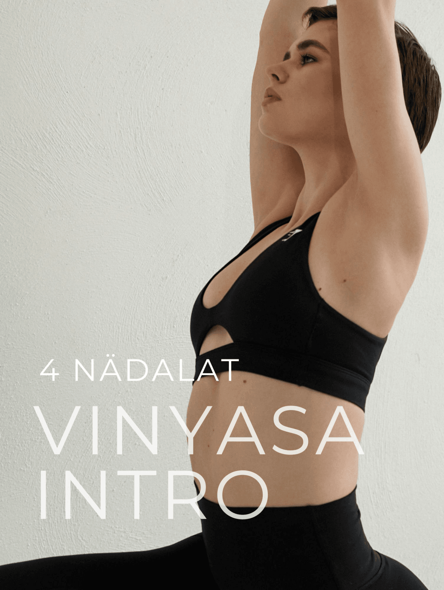 Vinyasa Intro